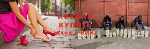 стаф Нефтегорск