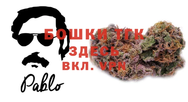 стаф Нефтегорск