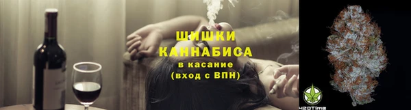 крисы Нея