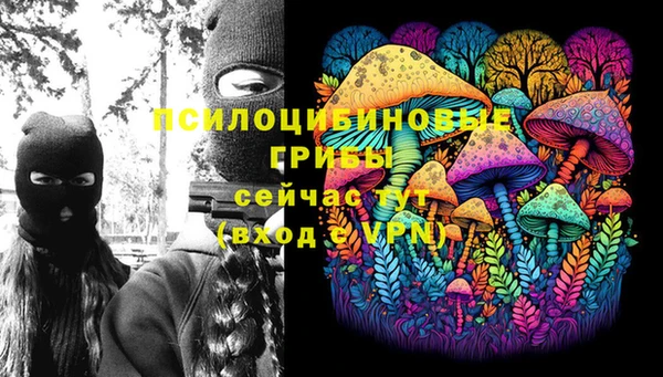 крисы Нея