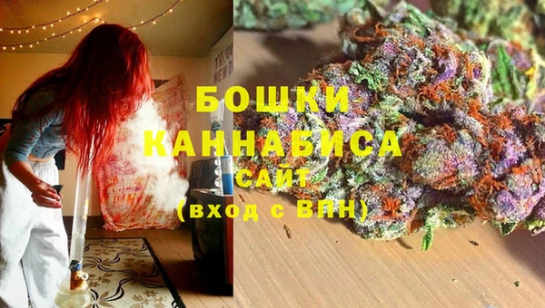 стаф Нефтегорск