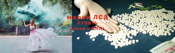 крисы Нея