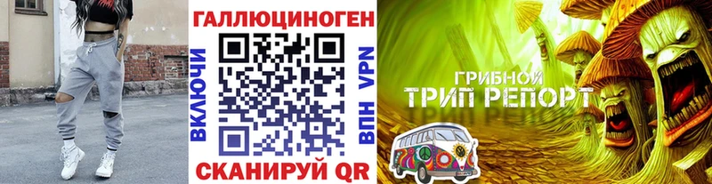 Псилоцибиновые грибы Cubensis что такое наркотик Тюкалинск